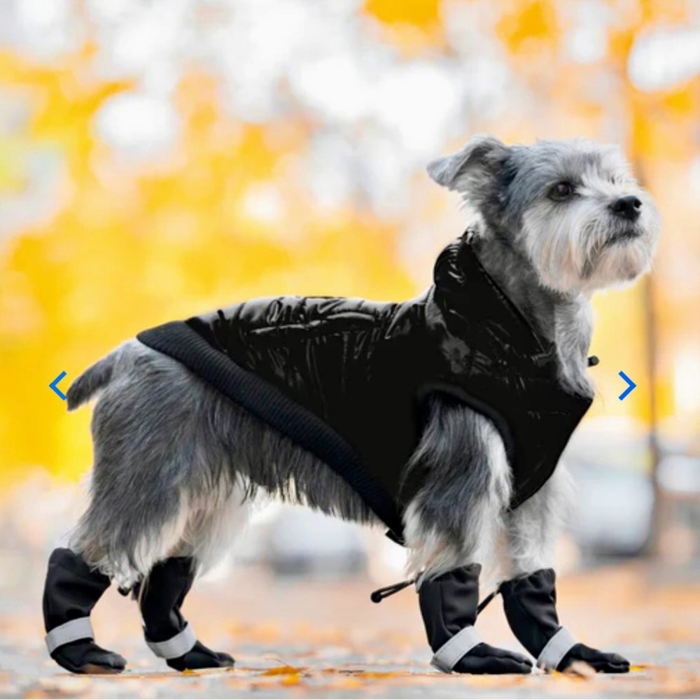 Canada Pooch Soft Shield Dog Boots Size 3